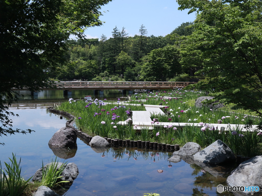 日本庭園　その２