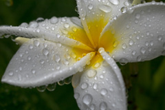 After Squall 　No.1