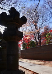 秋の名残り　上野東照宮　その１