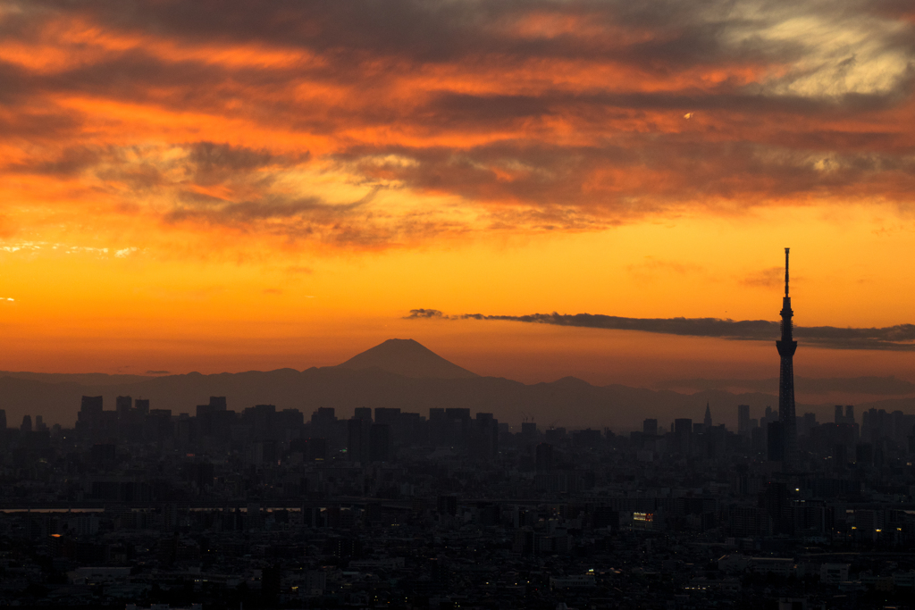 都心夕景