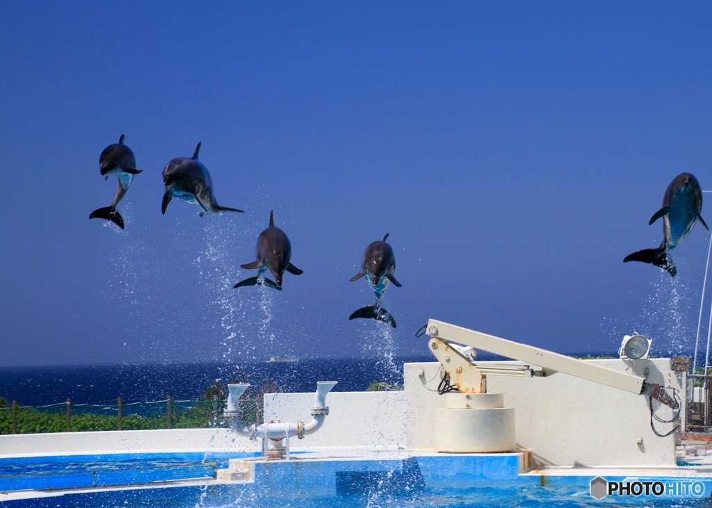 飛びます！飛びます！　その２