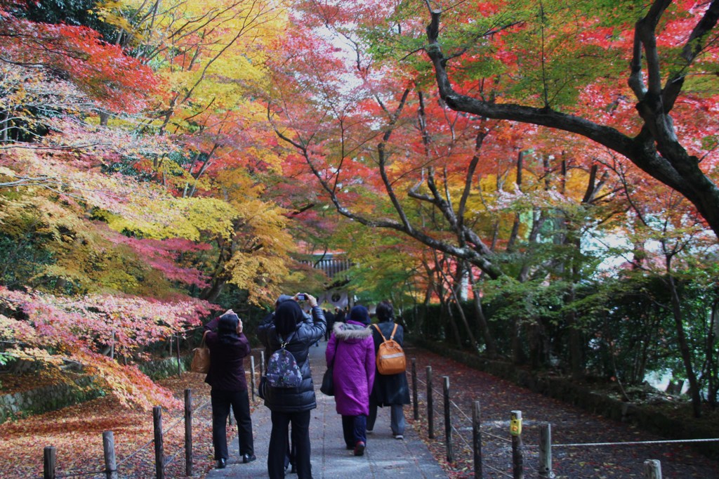 光明寺　その１