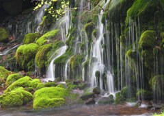 鳥海山元滝伏流水その３