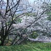 道灌壕　その１
