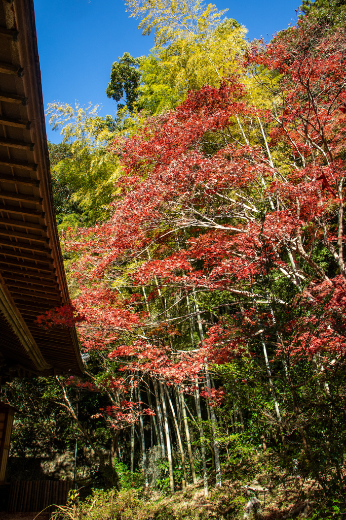 小松寺　その３