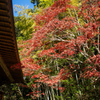  小松寺　その３