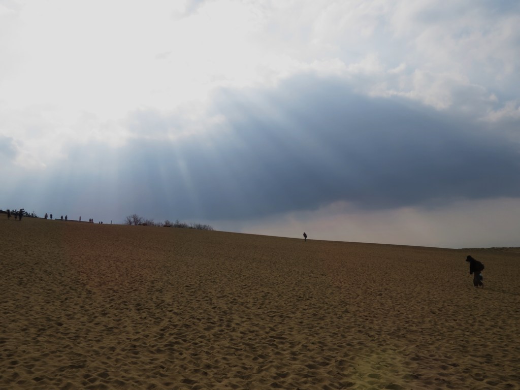 光りに向かって