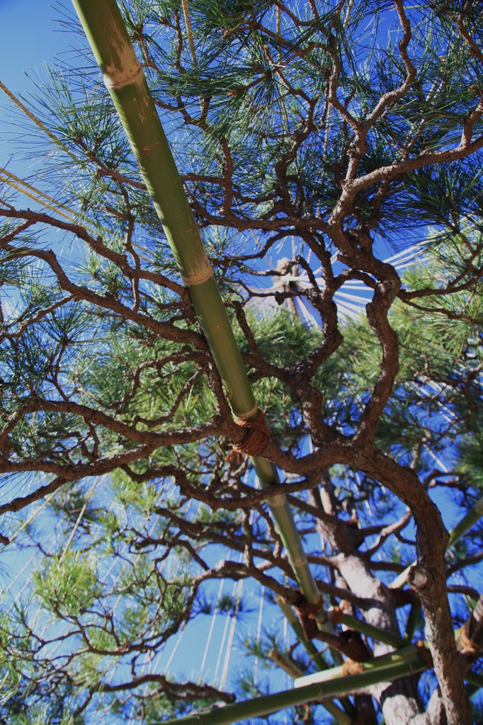 職人技を見る　その３