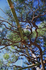 職人技を見る　その３