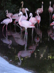 日陰を求めて　その２