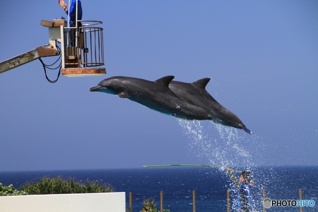 飛びます！飛びます！　その１