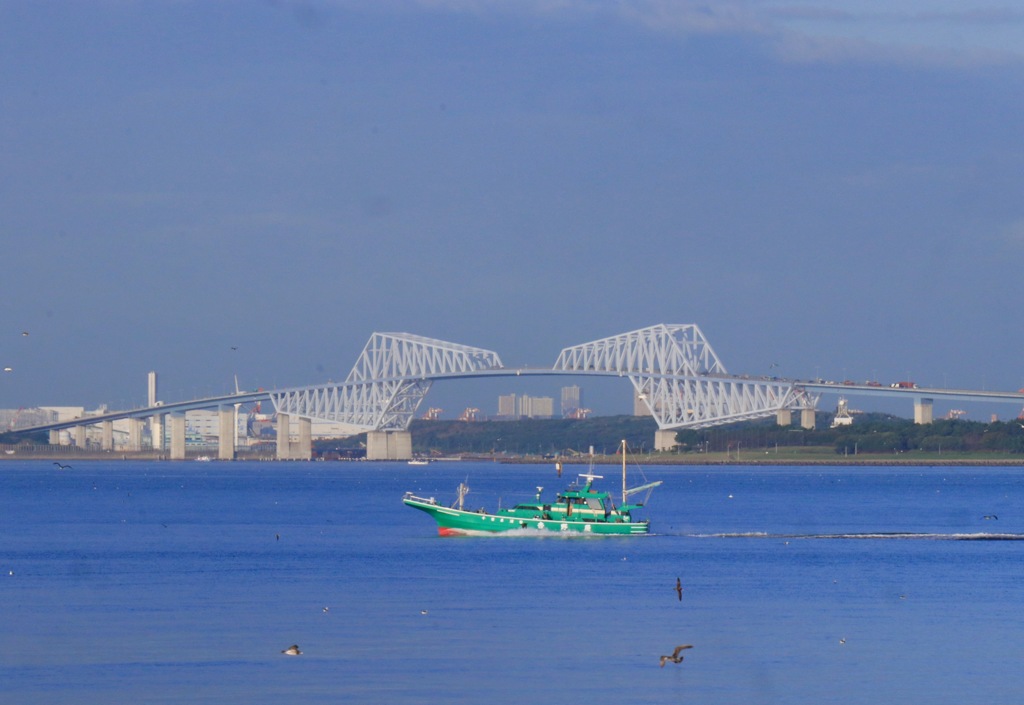 舞浜の朝