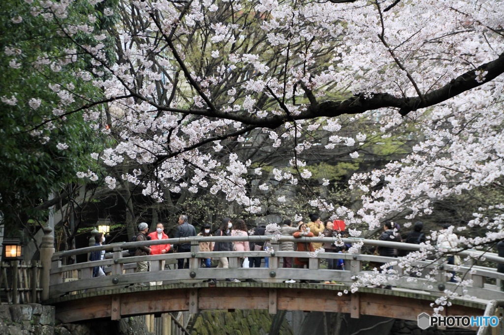 音無親水公園