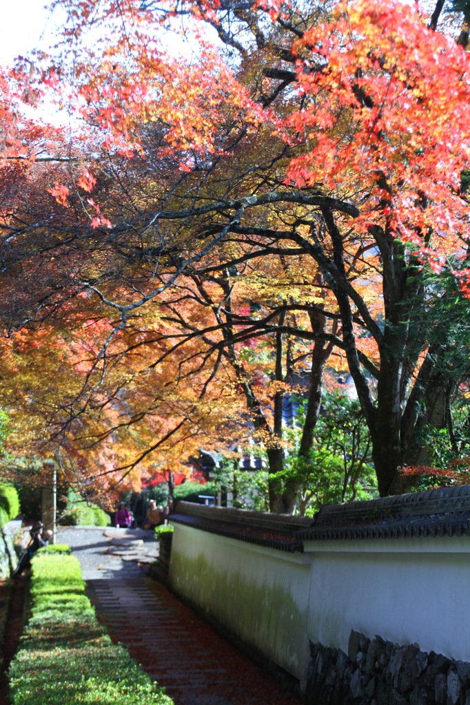 京都西山善峯寺　その６
