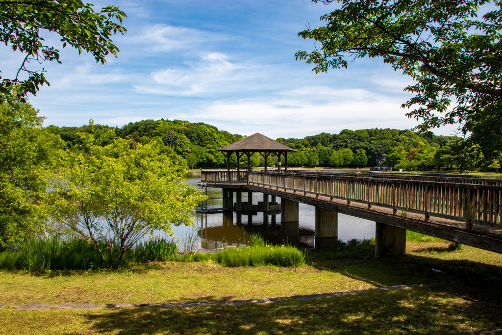 21世紀の森と広場　その４
