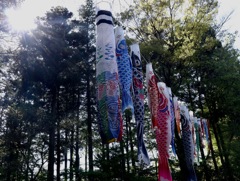 違和感