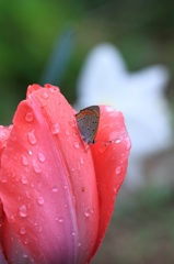 ちょっと一休み　その２