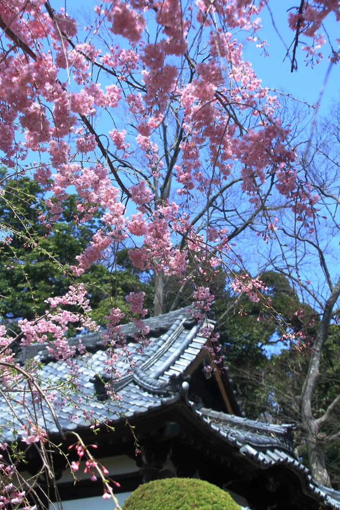 いよいよ出番