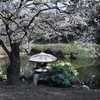 早春の日本庭園