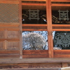 樹齢２００年　その３