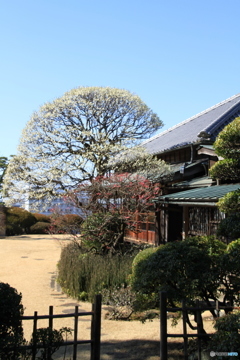 戸定邸　その１