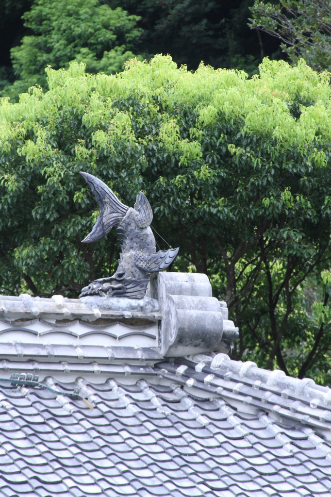重文岩科学校　その９