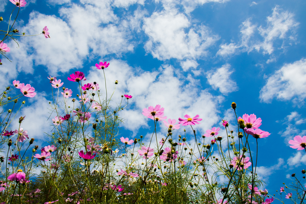 秋を満喫　その２