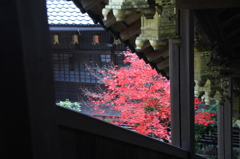 光明寺　その３