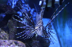 先ずはデフェンス　Ｎｏ．１