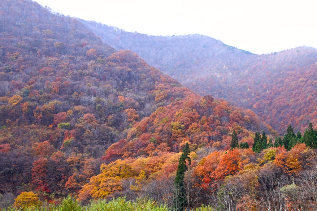 里山晩秋　その１