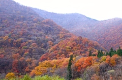 里山晩秋　その１