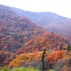 里山晩秋　その１