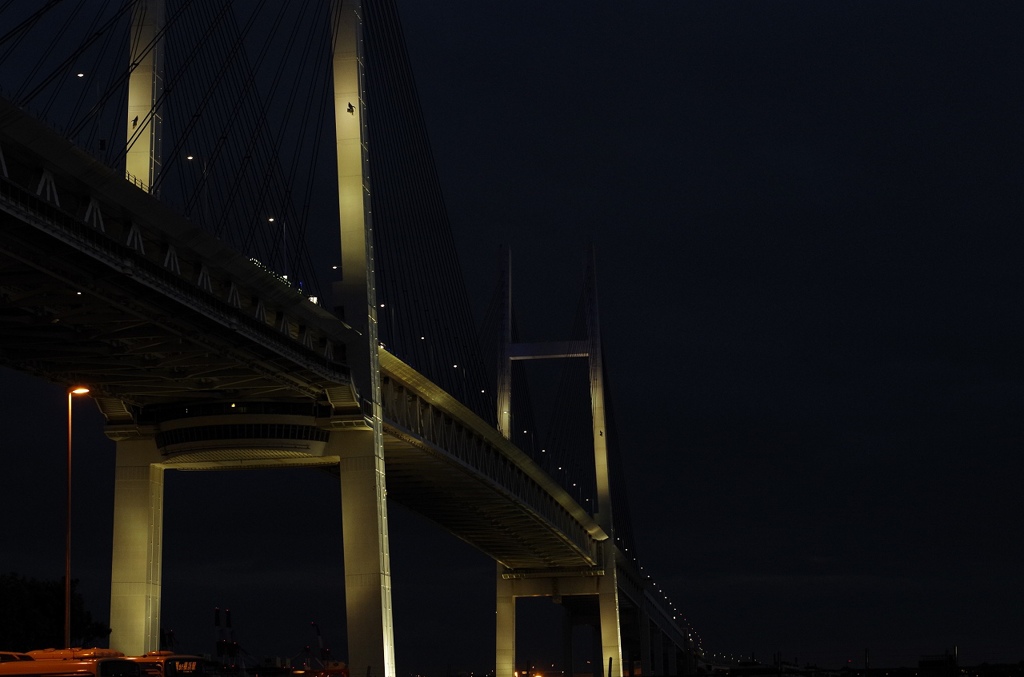 _IGP0590