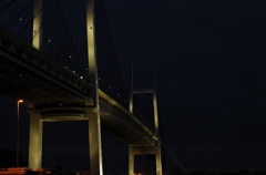 _IGP0590