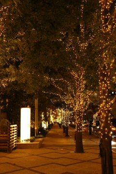 イルミネーション