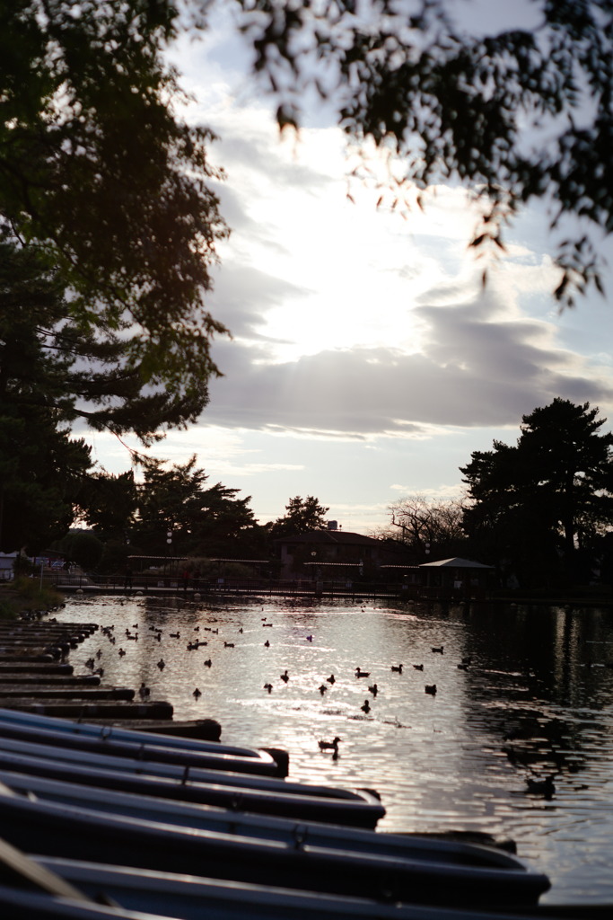 池～夕暮れ～
