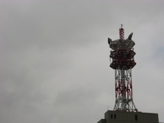 なんなんでしょう、これは。