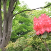 ●IMG_0668