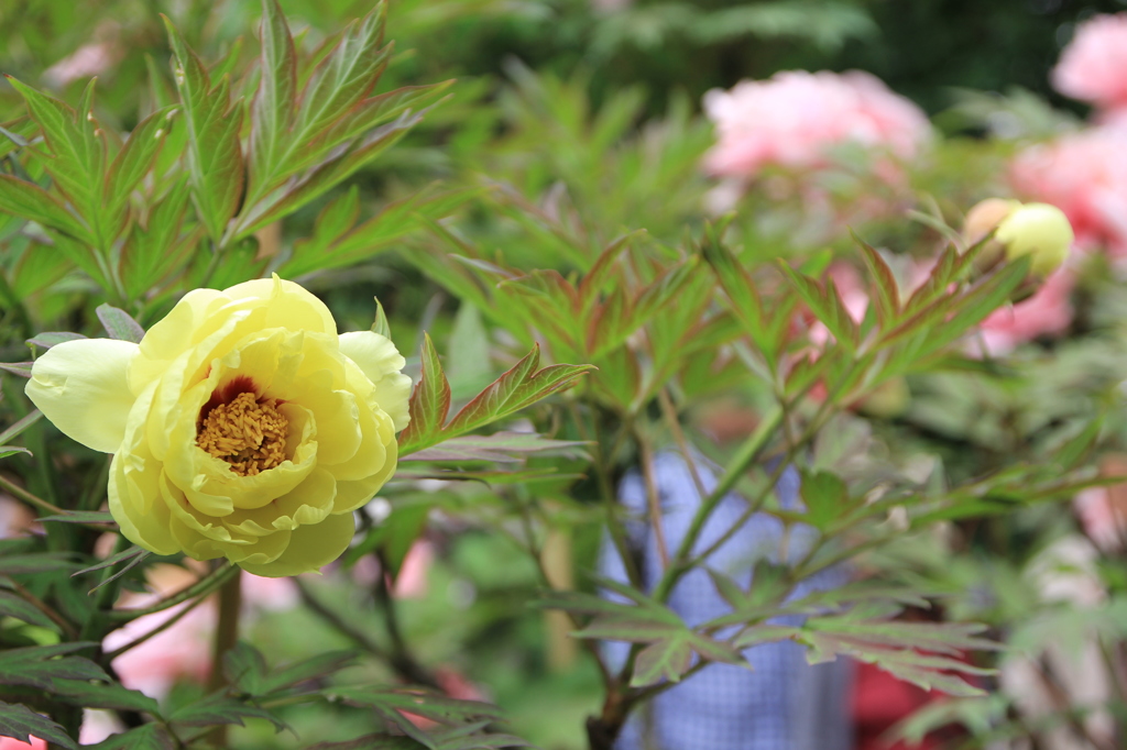 ●IMG_0646