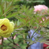 ●IMG_0646