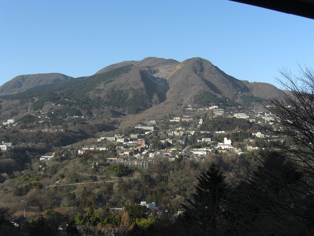 強羅の山に巨大な鹿が