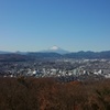 弘法山から富士を望む