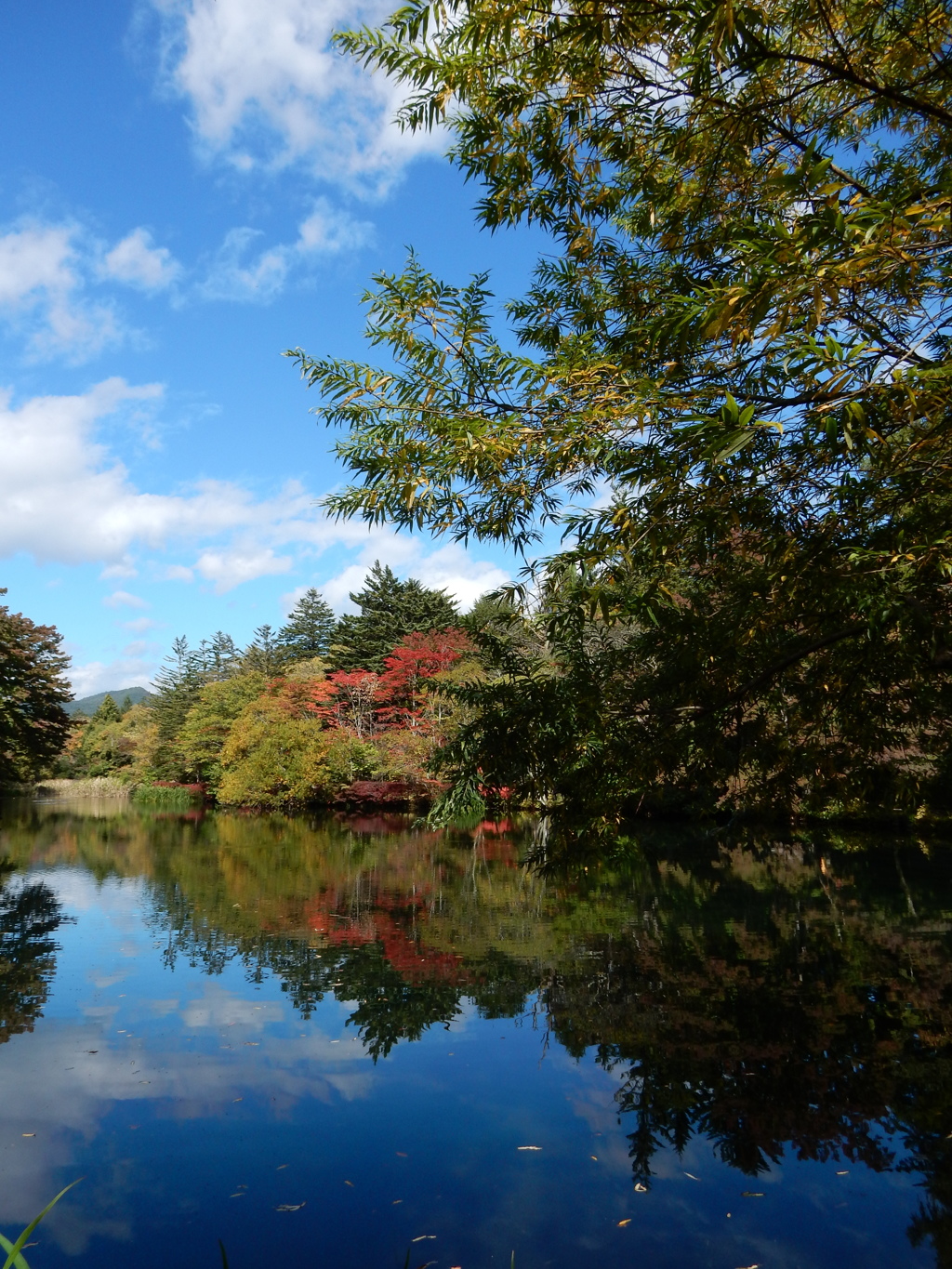 紅葉を迎えた　軽井沢