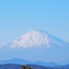 冬晴れの富士