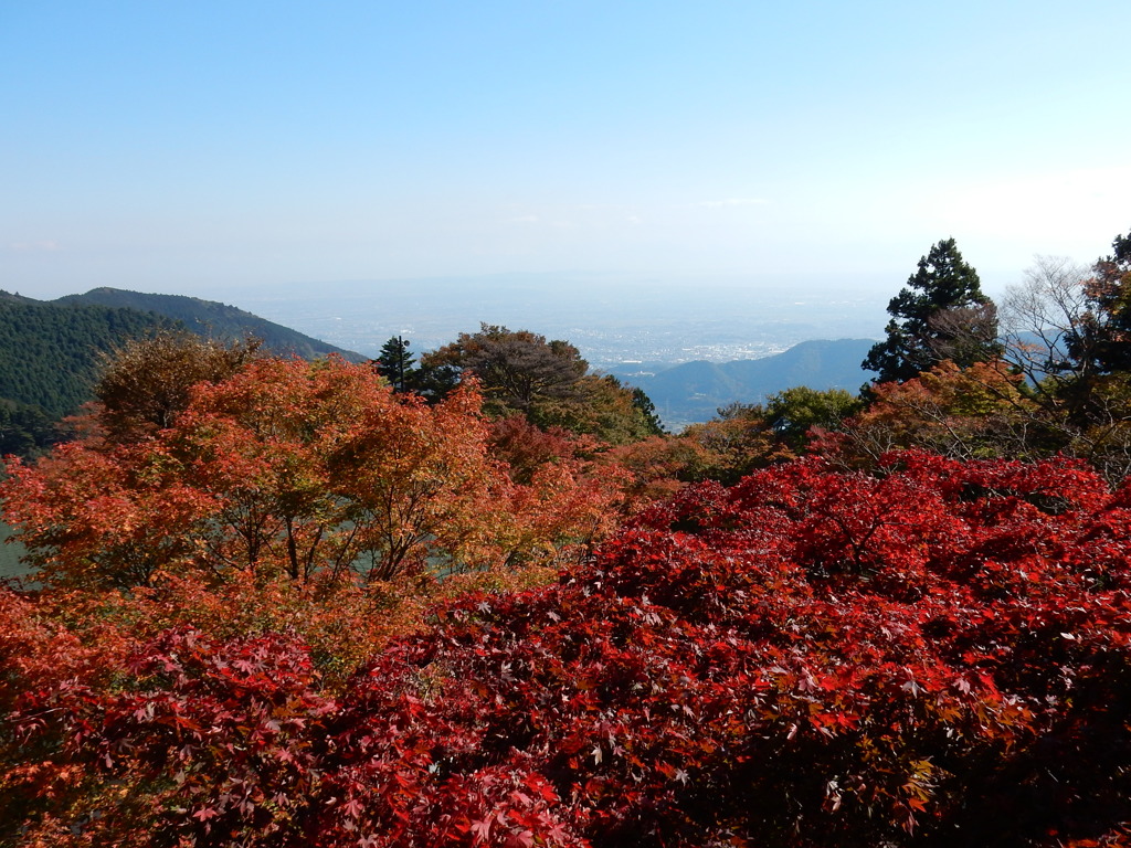 大山阿夫利神社から相模湾を望む