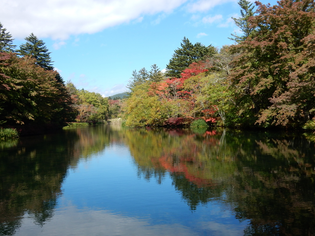 雲場池 紅葉進行中