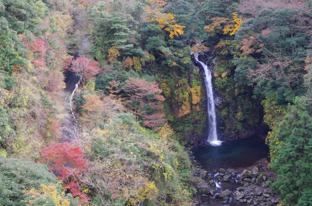 大棚の滝