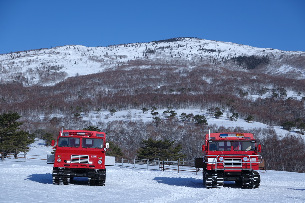 雪上の力持ち