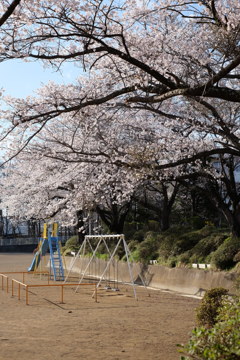 懐かしの場所