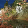 上田城跡の夜桜